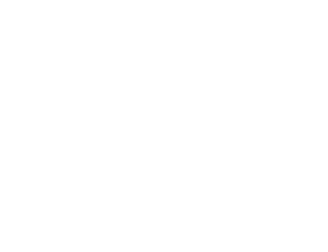 Kings Theatre Logo