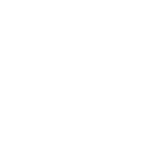 Civic Futures